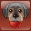 The Pooch Pamperer Achievement Icon